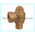 ISO9001 Certified Unique Brass Ferrules Ball Valve (AV4009)